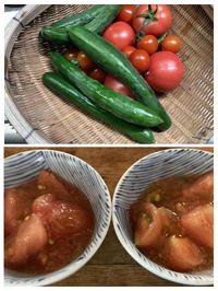 トマトも赤くなりました 2024/08/02 06:38:14