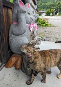 招き猫2匹 2024/08/23 06:33:57