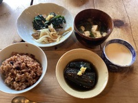 優しいご飯 2024/09/19 06:25:58