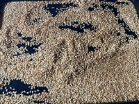 玄米活用 2024/11/28 14:05:03