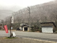 降ってますよ⛄️