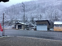 魚を食べよう