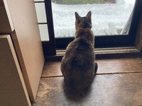 定休日です
