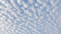 秋の空