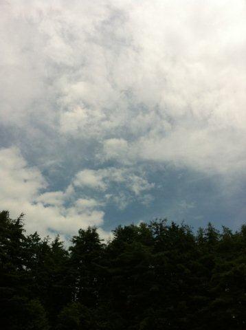 雲と蜘蛛