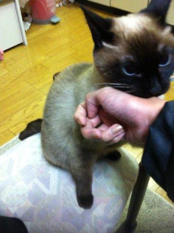 かぷっ