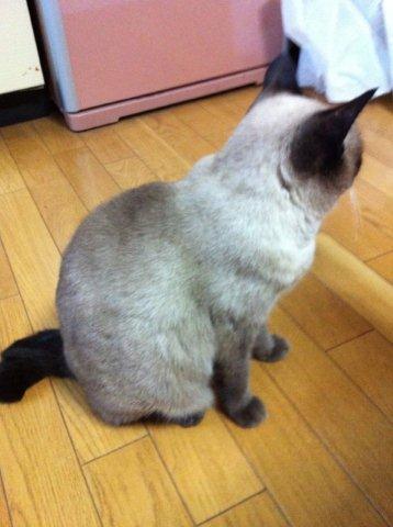 ごく　たまに♪