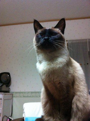 ひとり。。。　思う