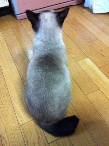 ごく　たまに♪