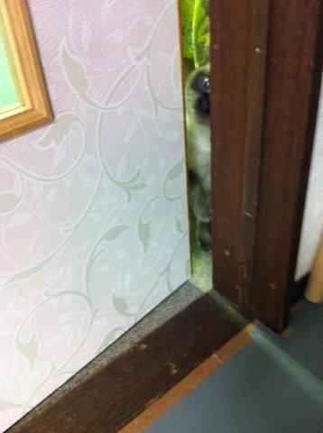 仲間して♪