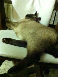 モロ　もろおか
