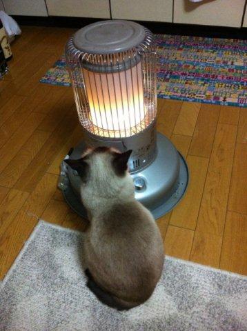 たまりません♪