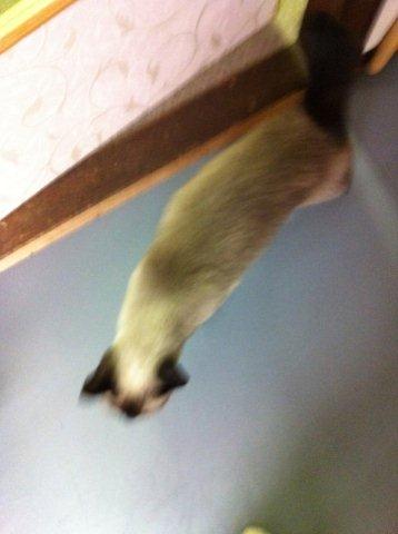 仲間して♪