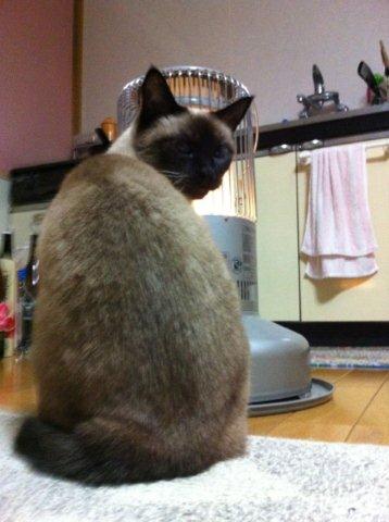 たまりません♪