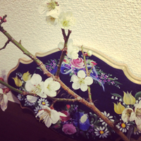 わが家にも春♪