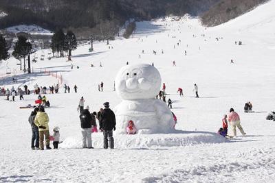 現在の積雪　８０cm　／　全面滑走可能