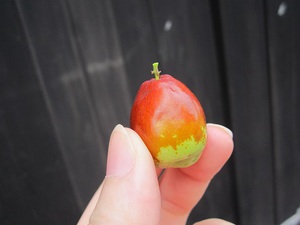 !!!! 食欲の秋 !!!!