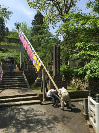 泣き相撲のぼり旗が飛騨護国神社前にかかりました！