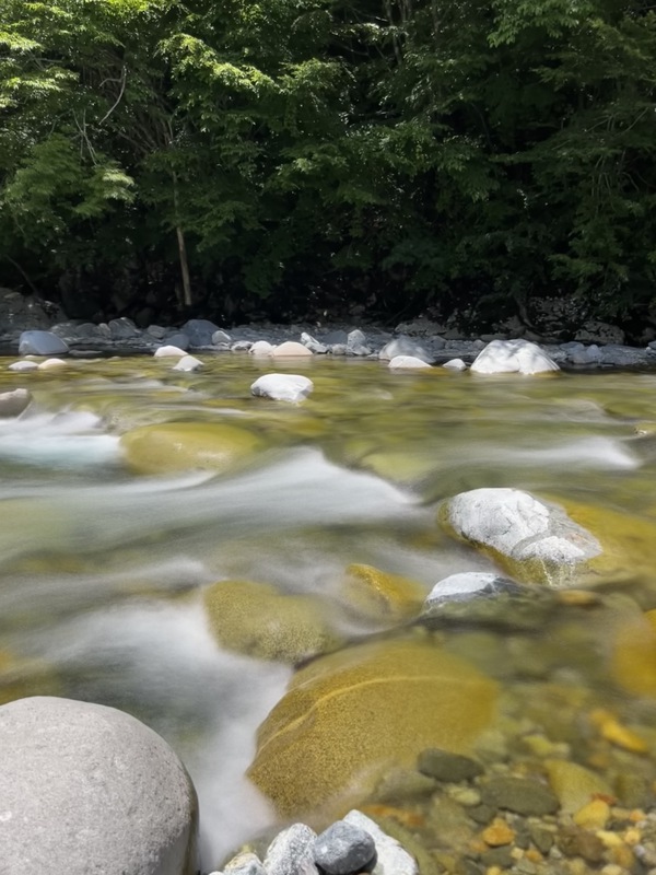 奥飛騨の夏