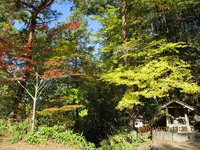 飛騨の里の紅葉　 2020/10/31 22:29:36