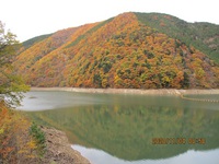 飛騨の紅葉　秋神ダムと城山　11月4日 2020/11/07 22:22:22