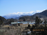 散歩道　2月24日 2021/02/26 16:16:16