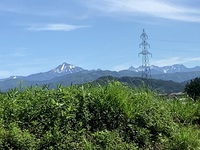 散歩道　６月５日 2021/06/11 23:55:19