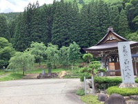 　天然記念物　袋朴葉 2021/07/03 20:54:19