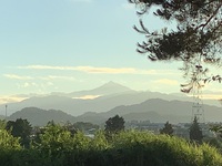 真夏の散歩道　８月６日 2021/08/07 14:58:17
