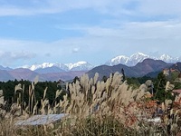 紅葉前線が　里に下りてきました。 2021/11/04 23:03:55