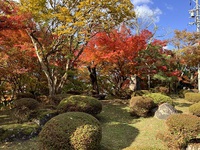紅葉　市街地　城山 2021/11/07 09:08:55