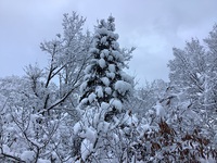 冬日 2021/12/29 16:47:16