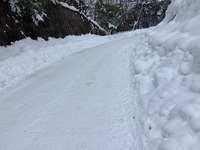 散歩道　1月18日 2022/01/19 14:36:22