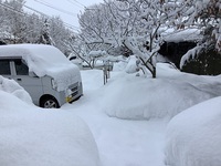 散歩道　アッと言う間に２月も２週目 2022/02/07 13:30:54