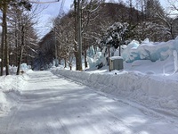 氷点下の森　２０２２－２－１３ 2022/02/16 14:45:58