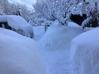 雪またじの日々　２月１９日 2022/02/24 10:43:54