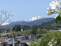 散歩道　４月３０日 2022/05/01 22:45:04