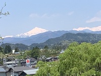 散歩道　大型連休　はびこる草花 2022/05/06 22:38:43