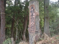 春の妖精に会いに　富山　3月21日 2020/03/24 22:07:57