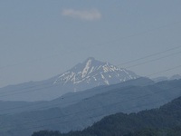 散歩道　6月11日 2020/06/13 15:05:30
