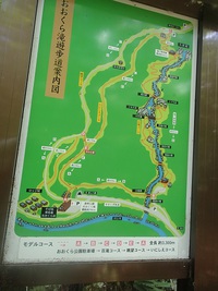 散歩道　梅雨の晴れ間　大倉の滝 2020/07/13 12:15:39