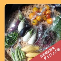 自然農お野菜ダイジョブ畑／虹色マーケット!2021 2021/08/01 00:06:54