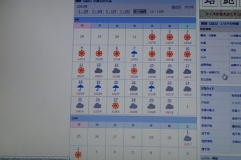 雨。
