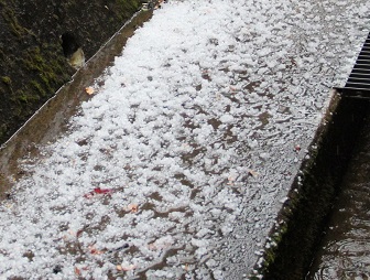 空から氷が・・・