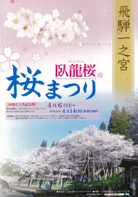 4月14日は高山市一之宮町で「臥龍桜　桜まつり」が開催されます! 2024/04/05 08:01:00