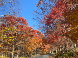 奥飛騨温泉郷紅葉情報 最終回 女将日記