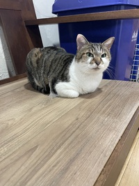 すっかり静かな店内‍↕️