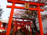 あけまして　おめでとうございます 2022/01/06 00:47:51