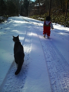 雪と猫と娘