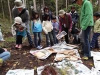 自然と触れ合う子供たち